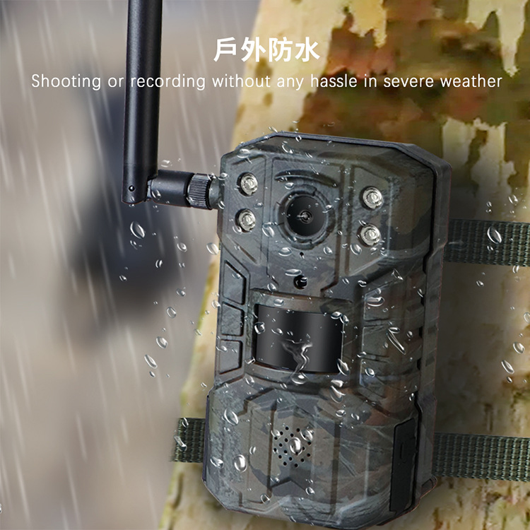 4G Hunting Camera Wildlife H2 Trail Hunting Camera Waterproof 4K Hunting Camera Outdoor with Night Vision Wholesale