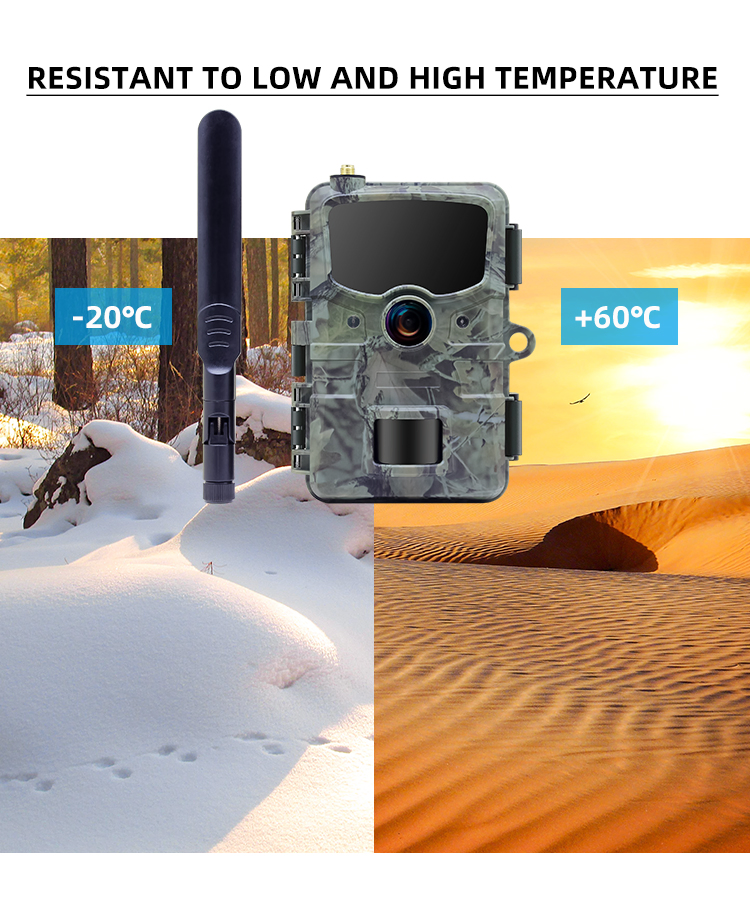36MP 1080P Night Vision Infrared Waterproof 4G Cellular Wireless Wildlife Hunting Trail Camera Rd3069