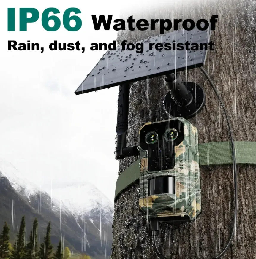 Hunting Trail Camera 2