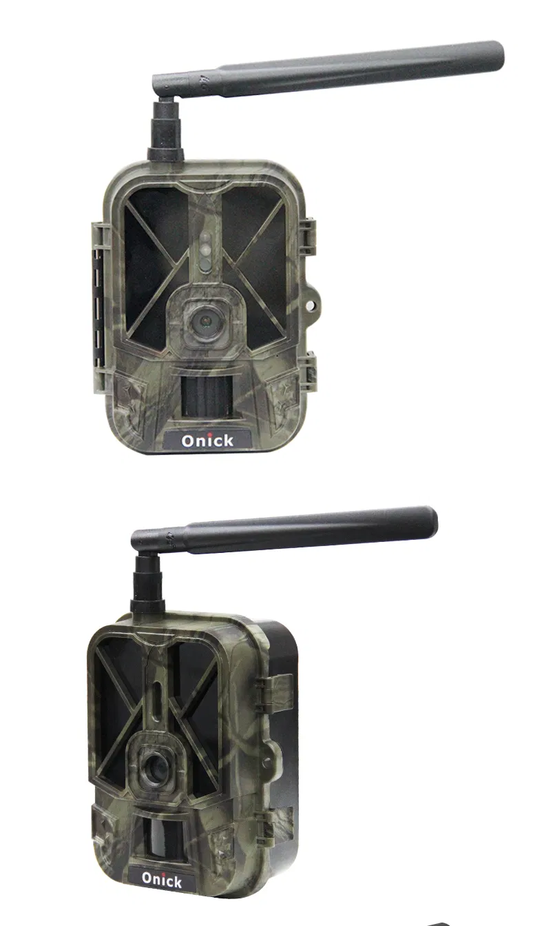 Wildlife Camera View 6