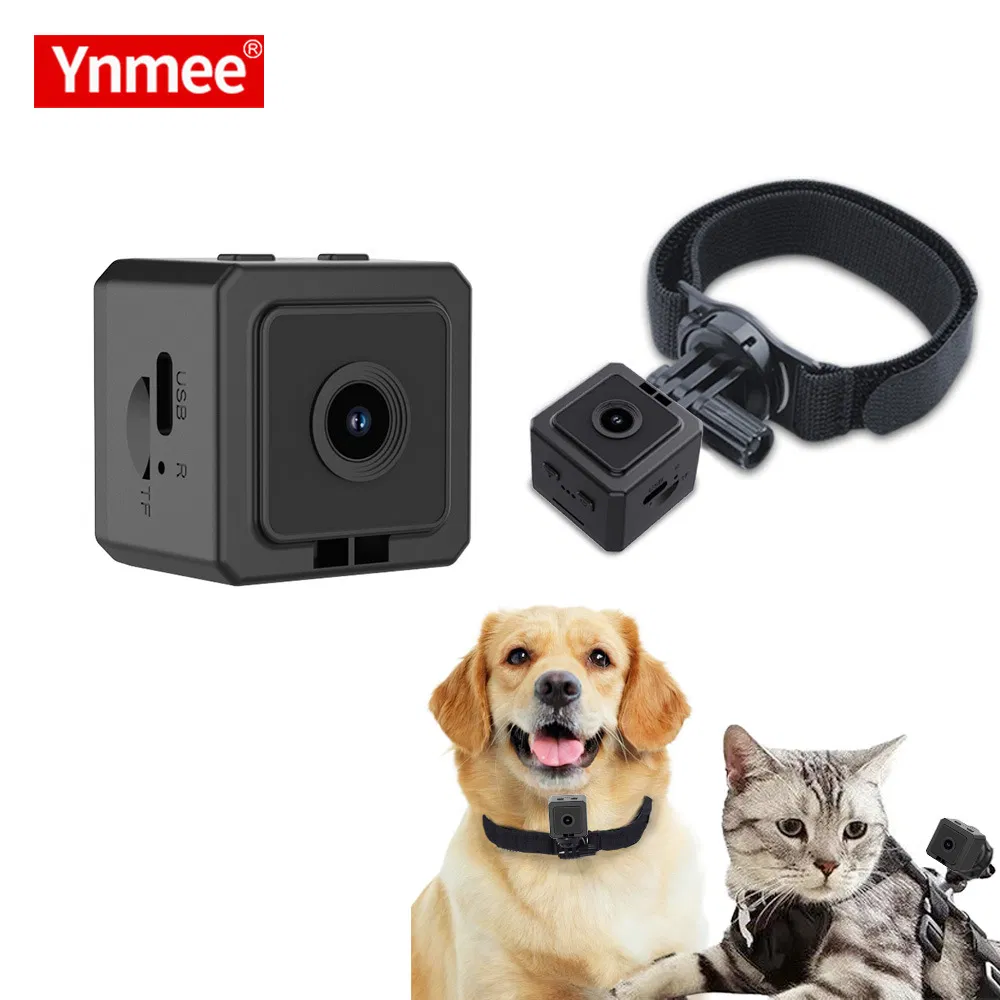 New MD38 Pet Camera Magnetic Pocket Camera Action DV Smart Wearable Camera Dog and Cat Walking Recorder