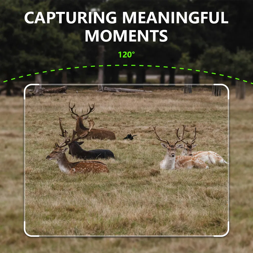 Wildlife Trail Camera View 5