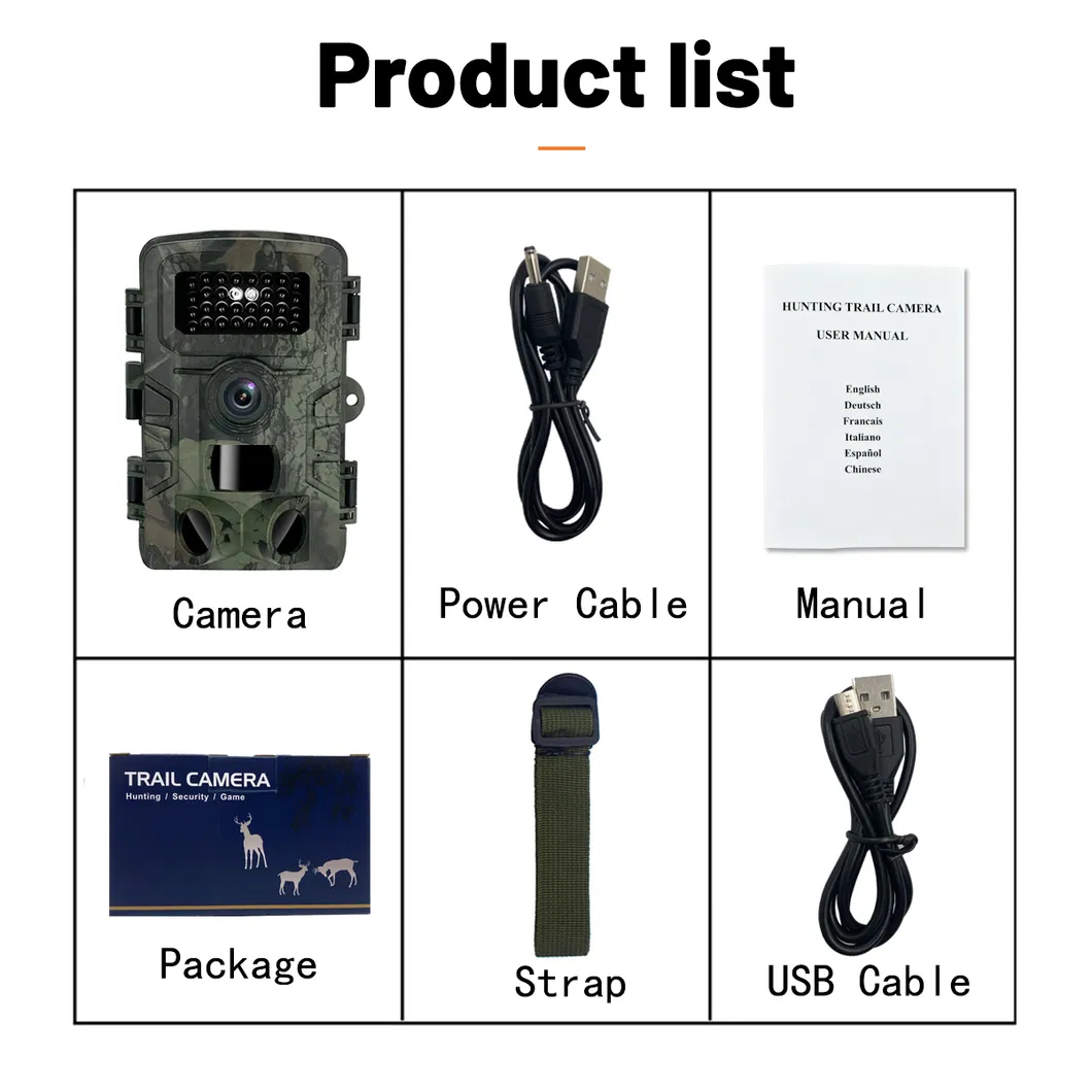 Trail Camera Night Vision