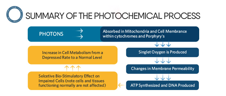 Principle of Treatment Diagram 1