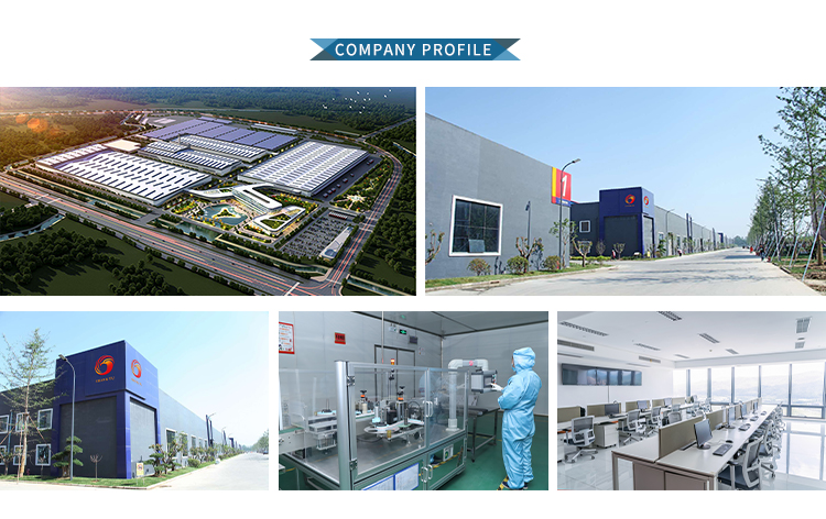 Professional Production Facility