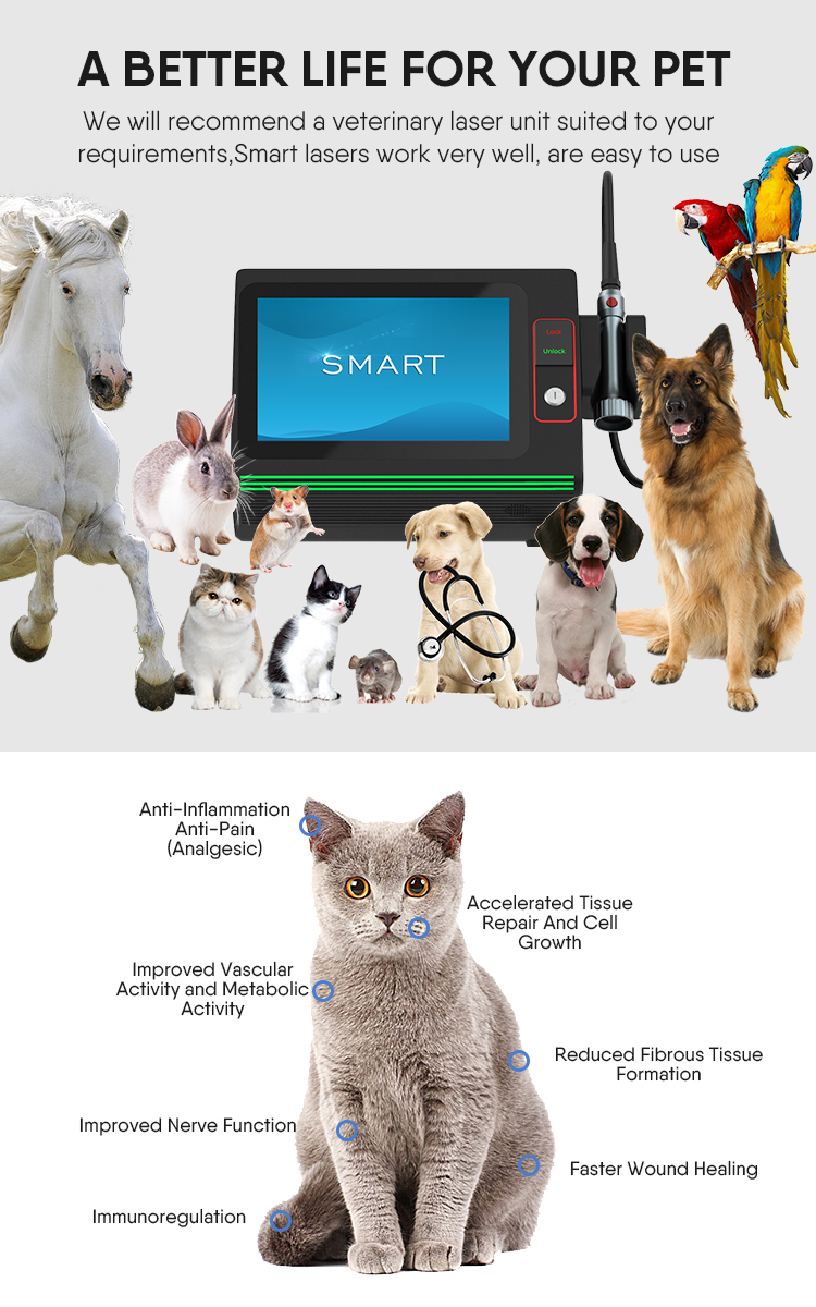 Veterinary Use Image