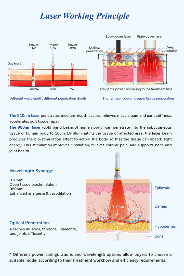 Treatment Principle