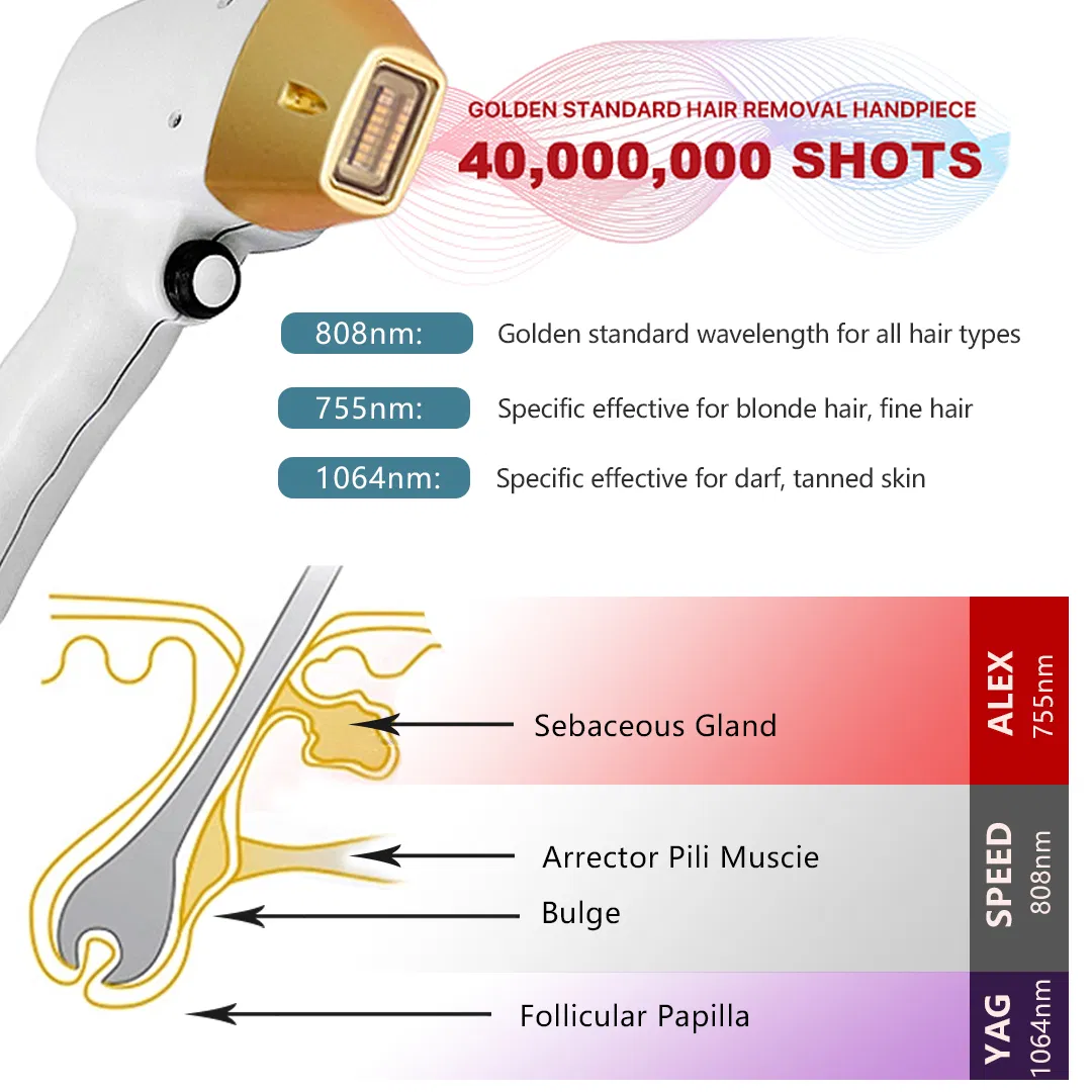 Advanced 3-Wavelength Laser Hair Removal System for Silky Skin