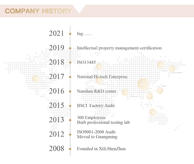 Development Timeline