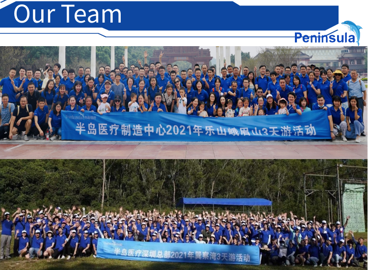 Our Team