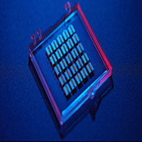 Product Extra Detail 1