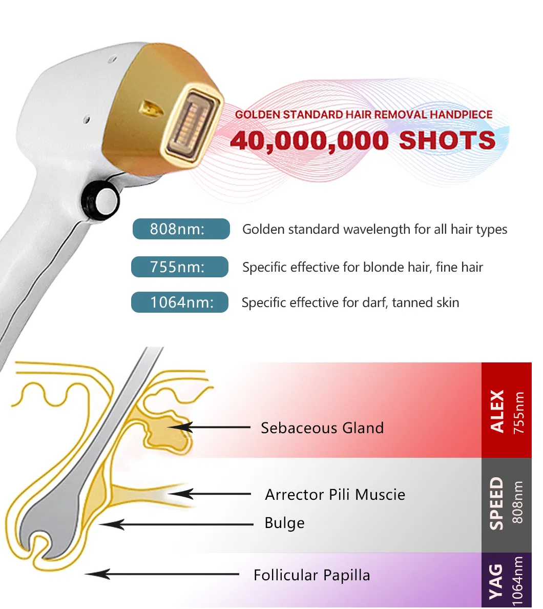 Advanced 3-Wavelength Laser Hair Removal System for Silky Skin