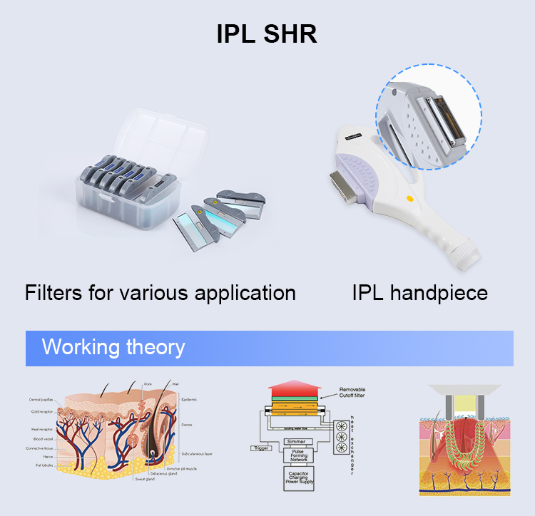 IPL SHR Application
