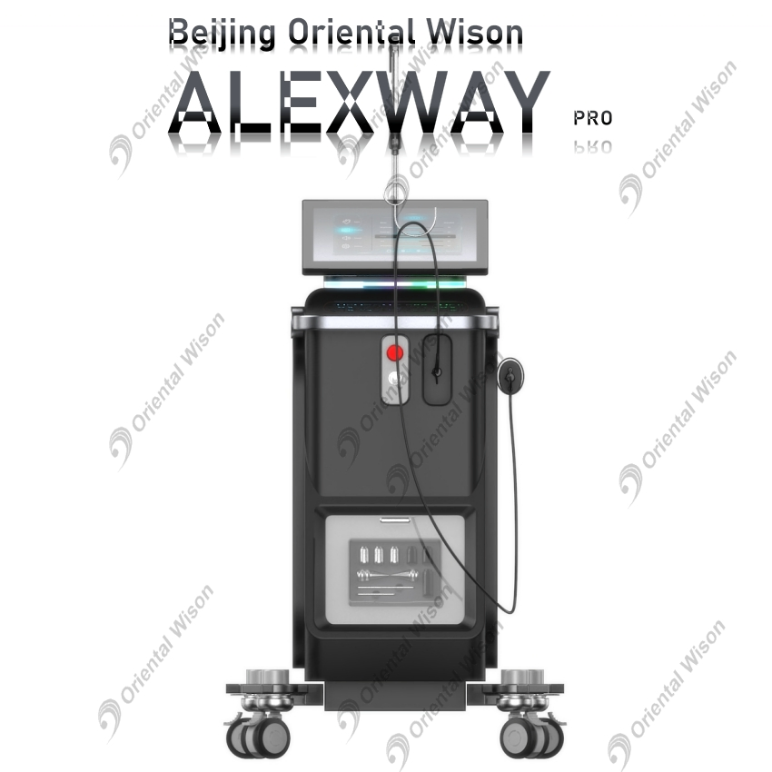 ND YAG Long Pulse Laser Hair Removal 755nm 1064nm Hair Removal Beauty Machine Alexandrite Laser Permanent Hair Removal Laser Zimmer Cooling System Alexandrite