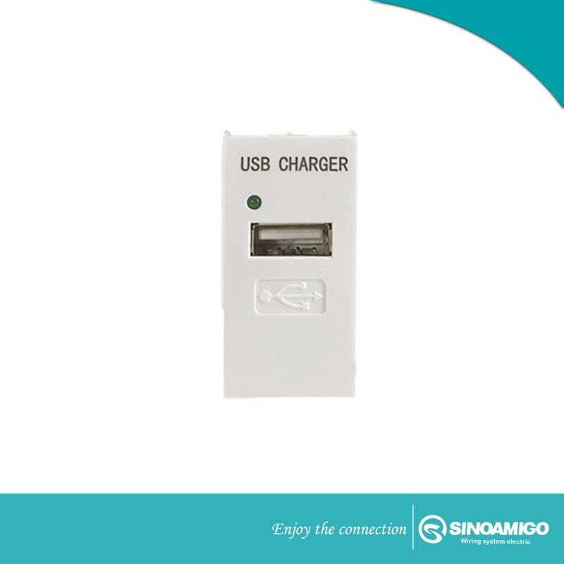 Dual 2.1A USB Charger with Port Type a+C