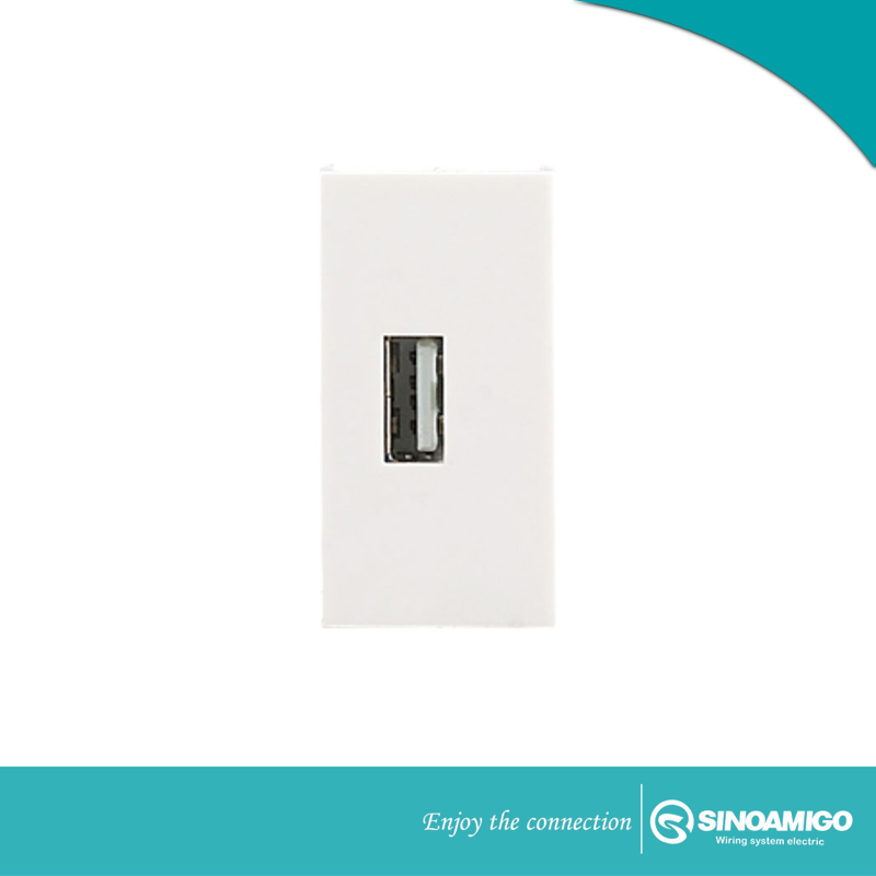 Dual 2.1A USB Charger with Port Type a+C