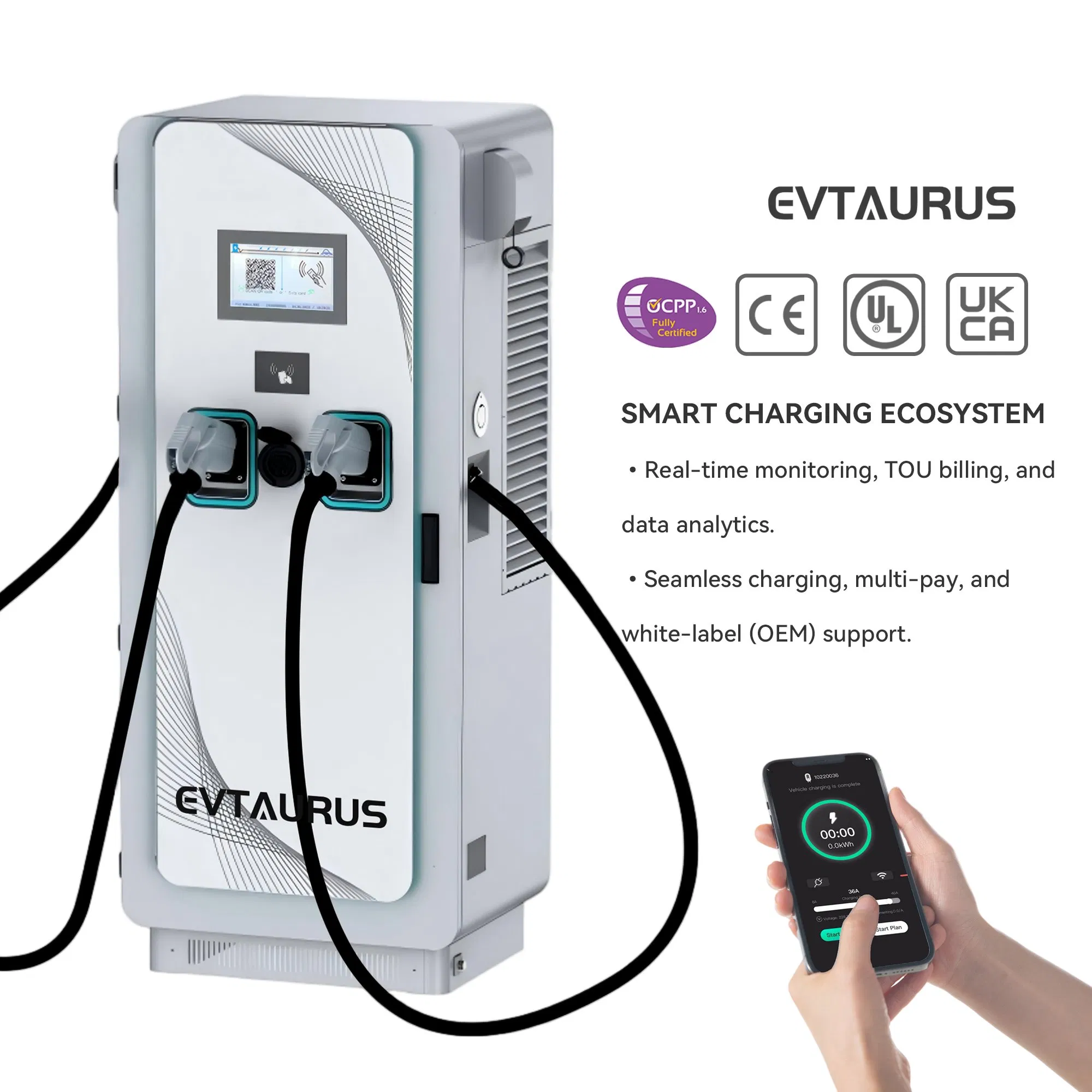 Chinese Factory Wholesale Commercial 80kw 120kw 180kw 240kw Type2 CCS2 Gbt Byd Nacs OEM AC+DC Electric Vehicle EV Car Charging Station