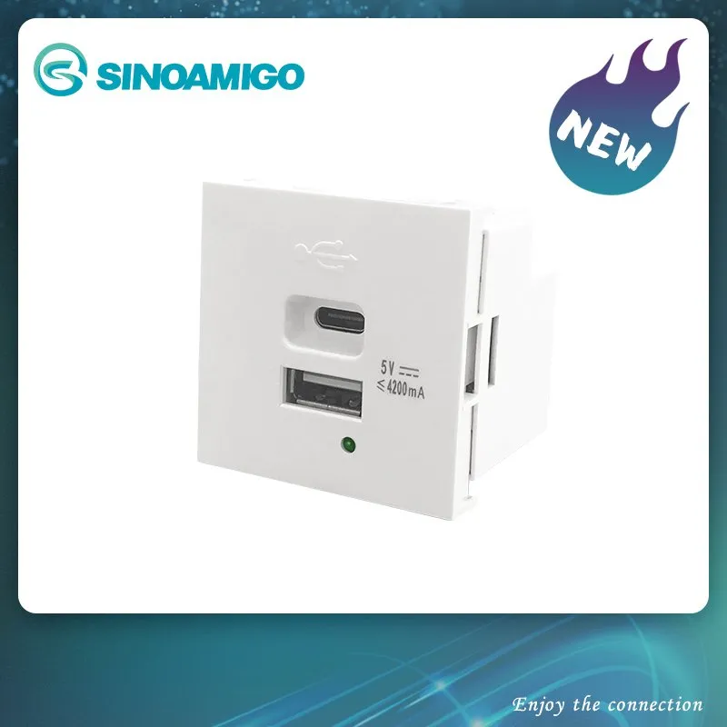 Dual Port USB Charger 4.2A Type a+C Module Socket