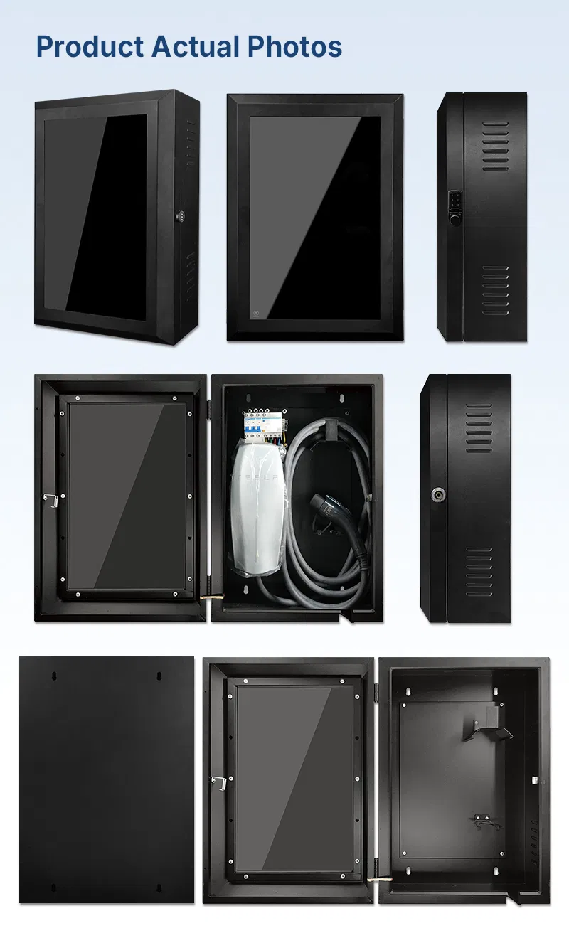 Customization Details