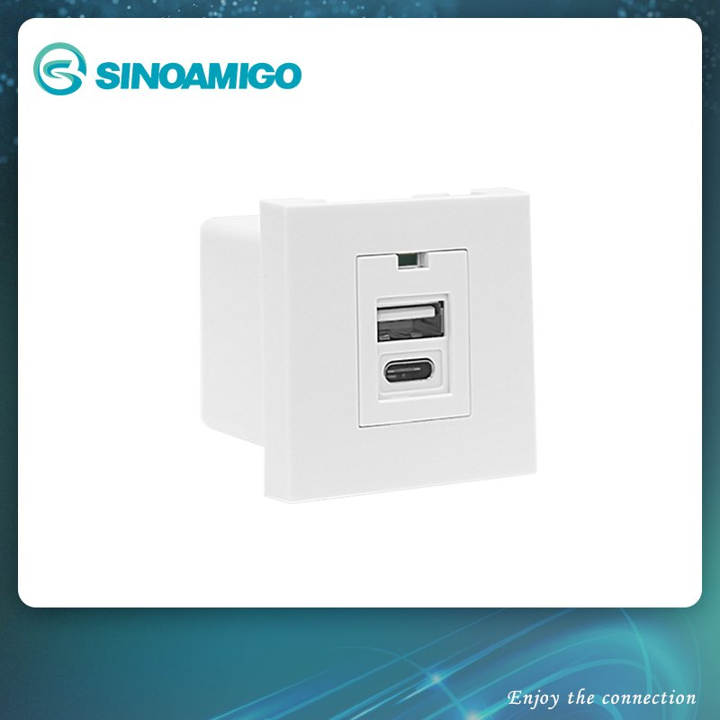 Dual Port USB Charger 4.2A Type a+C Module Socket