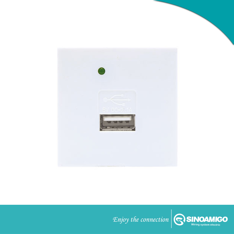 Dual 2.1A USB Charger with Port Type a+C