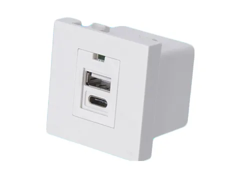 Dual 2.1A USB Charger Type A+C