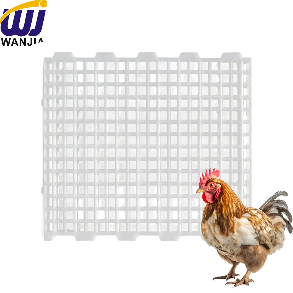 High-Quality WJ765 Poultry Dropping Board with High Load Capacity Suppliers, Factories