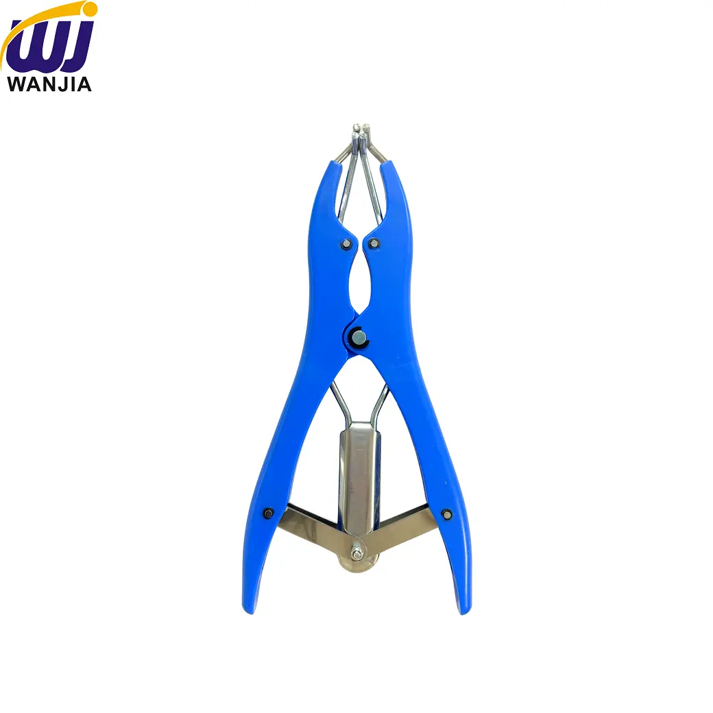 Product Detail 2