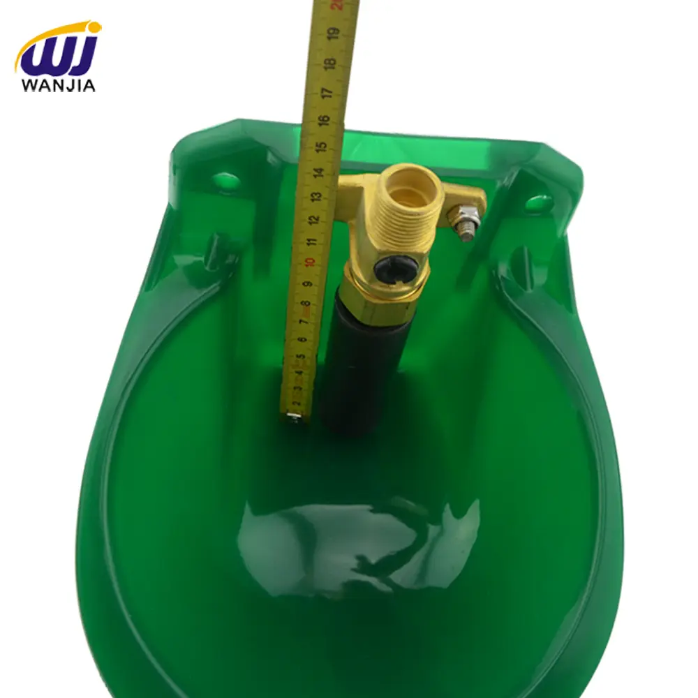 Product Detail 2