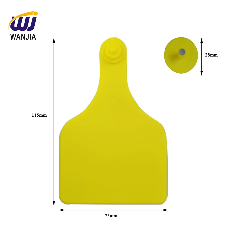 Product detail view 2