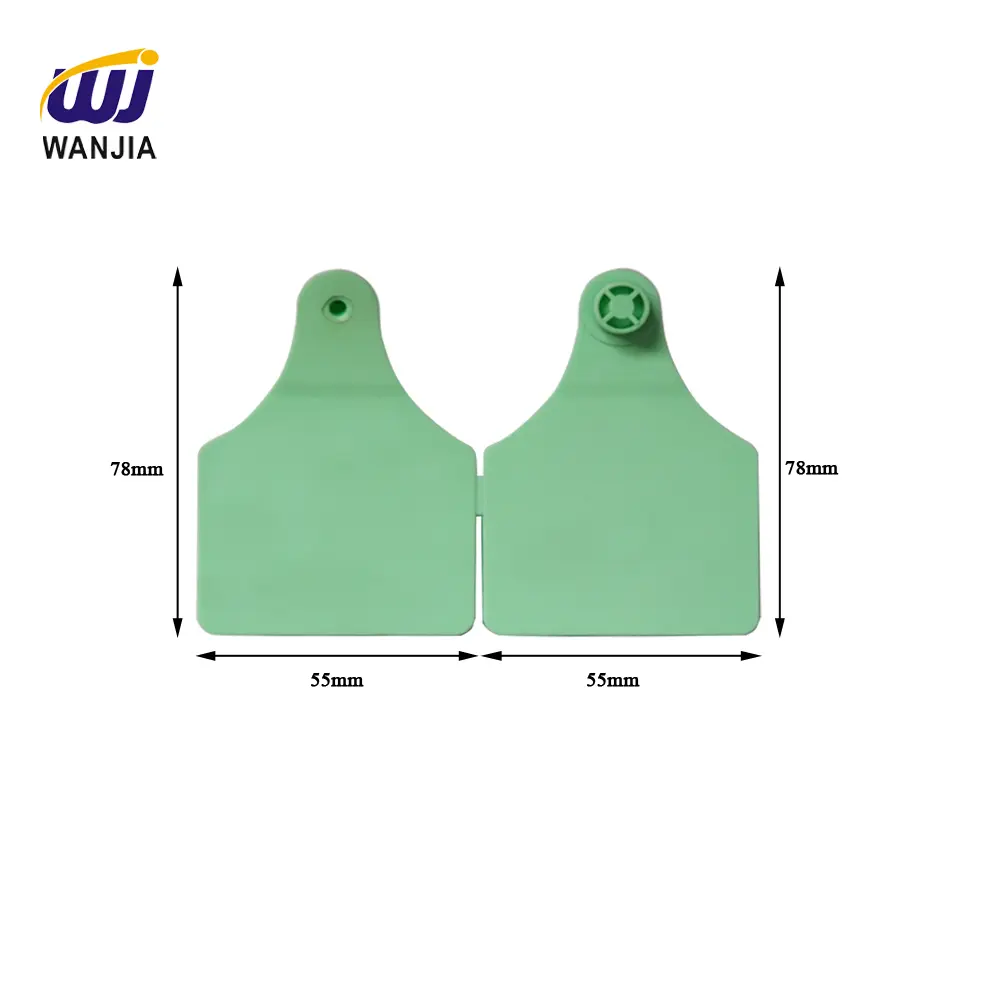 Chart 8