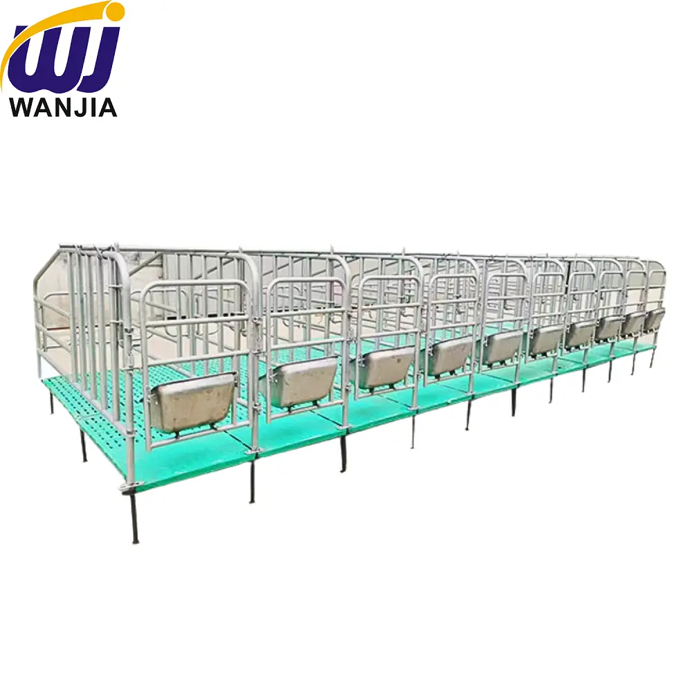 Sow Farrowing Crate Dominica