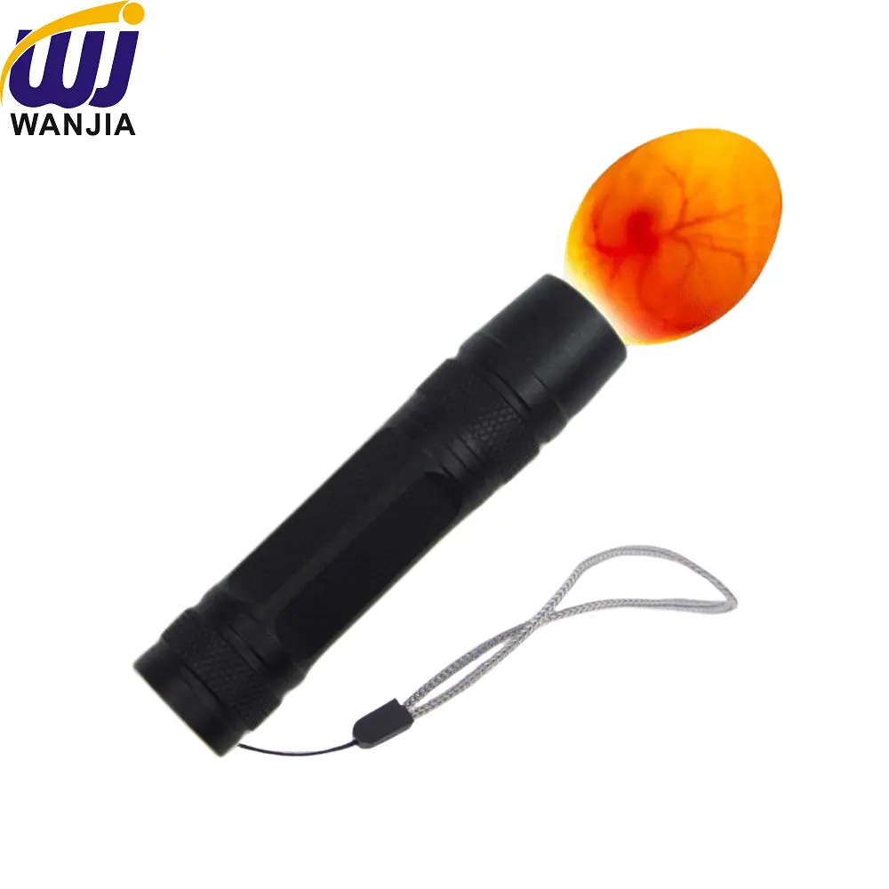 High-Quality WJ782 Rechargeable LED Egg Tester for Poultry Hatcheries Suppliers, Factories