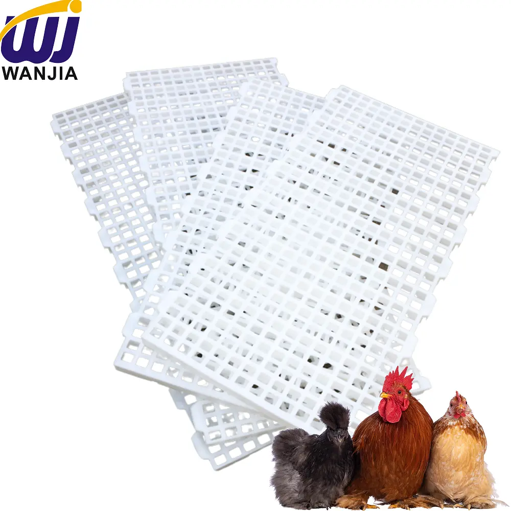 High-Quality WJ765 Poultry Dropping Board with High Load Capacity Suppliers, Factories