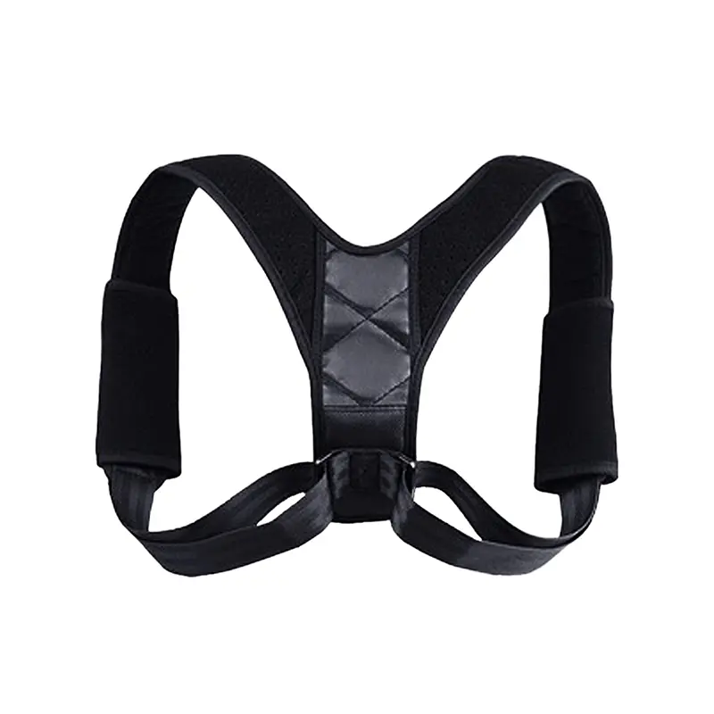 Back Support Structure