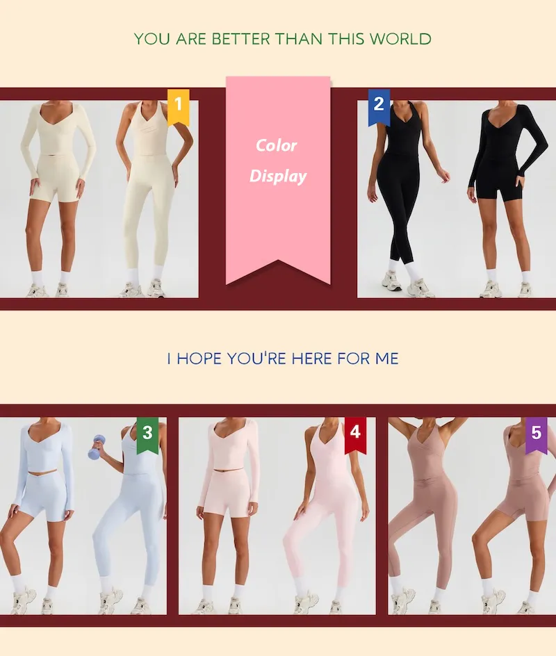 Collection 6