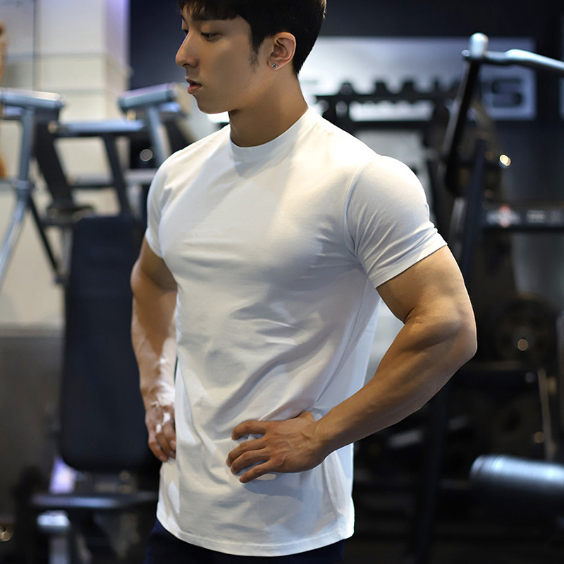 Men's Slim Fit Quick Dry Breathable Gym T-Shirt with Letter Pattern Custom Embroidery Printing Plain Solid Style Knitted Fabric