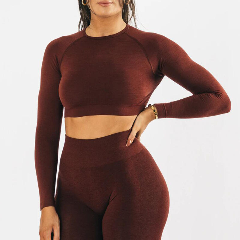 Wholesale Custom Logo Soft Long Sleeve Crop Top Shorts Yoga Active Wear Sets Women Seamless Gym Fitness Sets