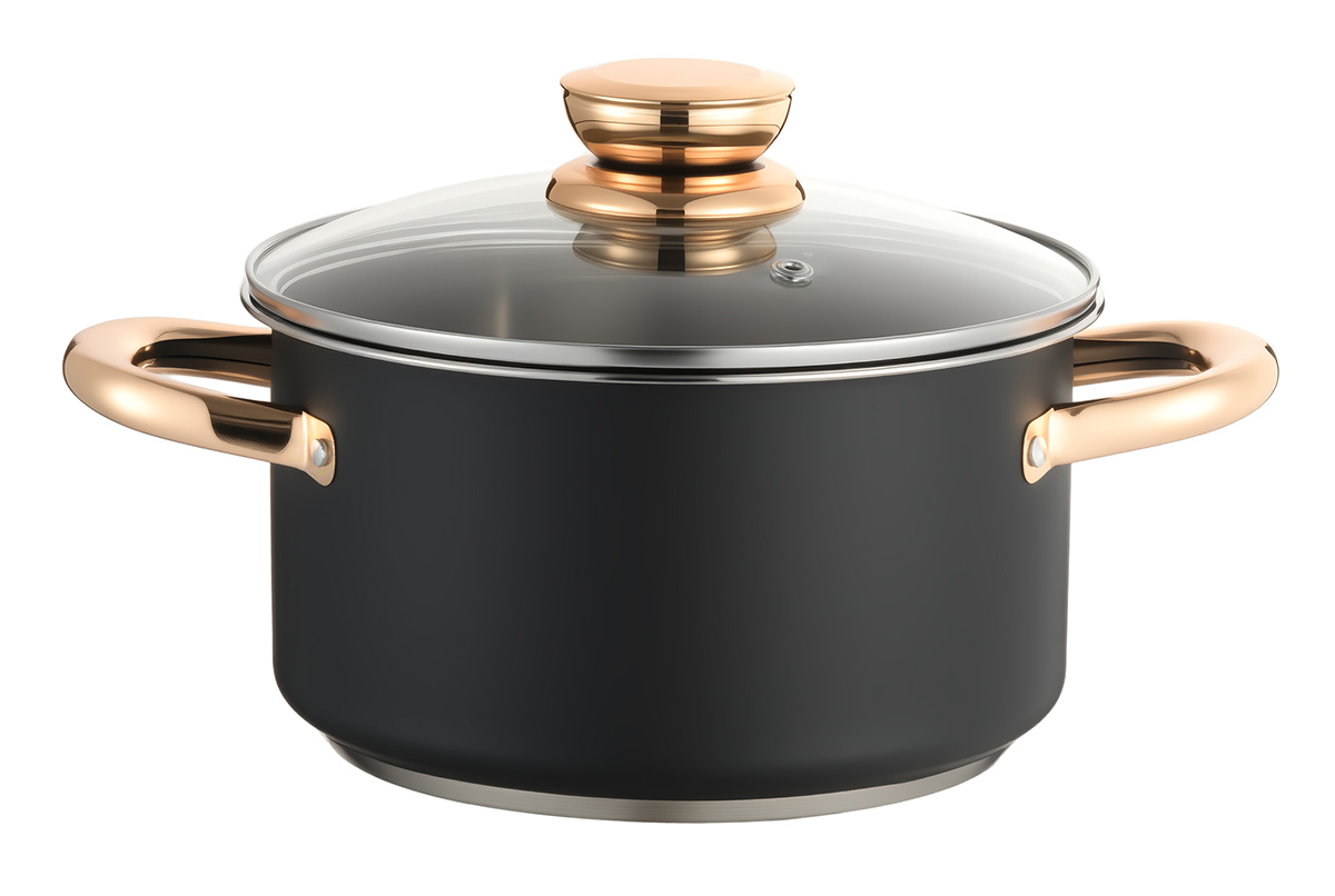 10-Piece Matte Black Stainless Steel Cookware Set WH-AA020