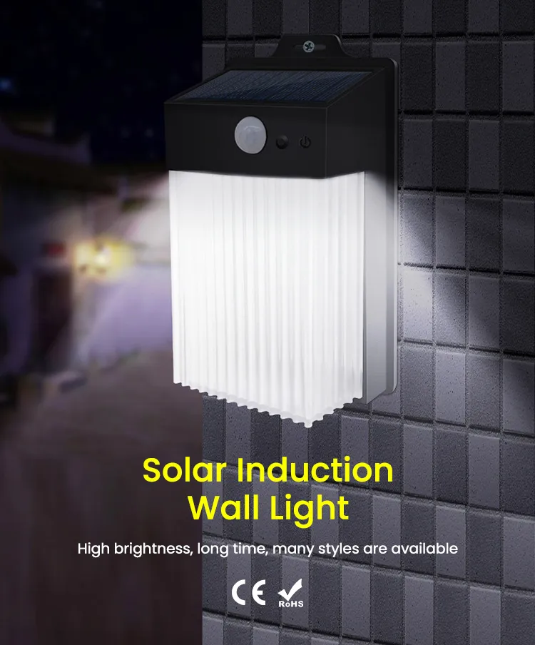 Outdoor Motion Sensor LED Wall Lamp