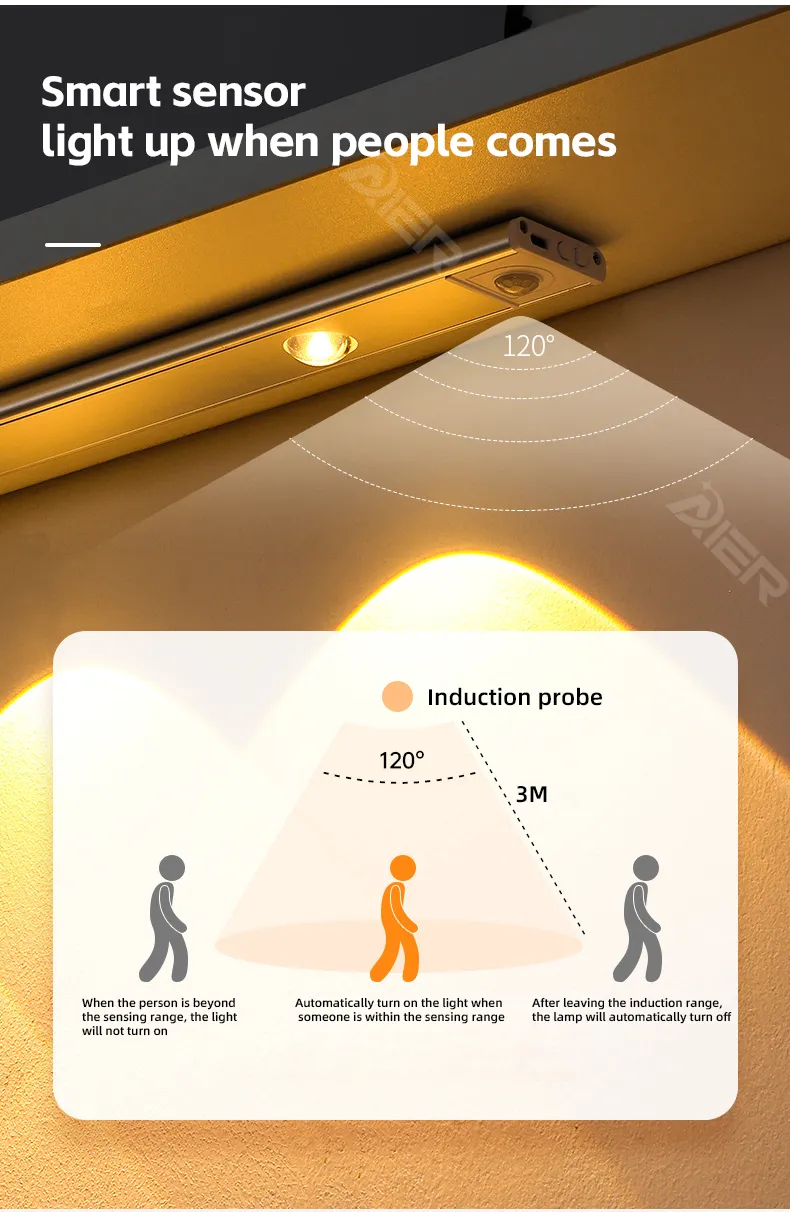 PIR Motion Sensor Detail