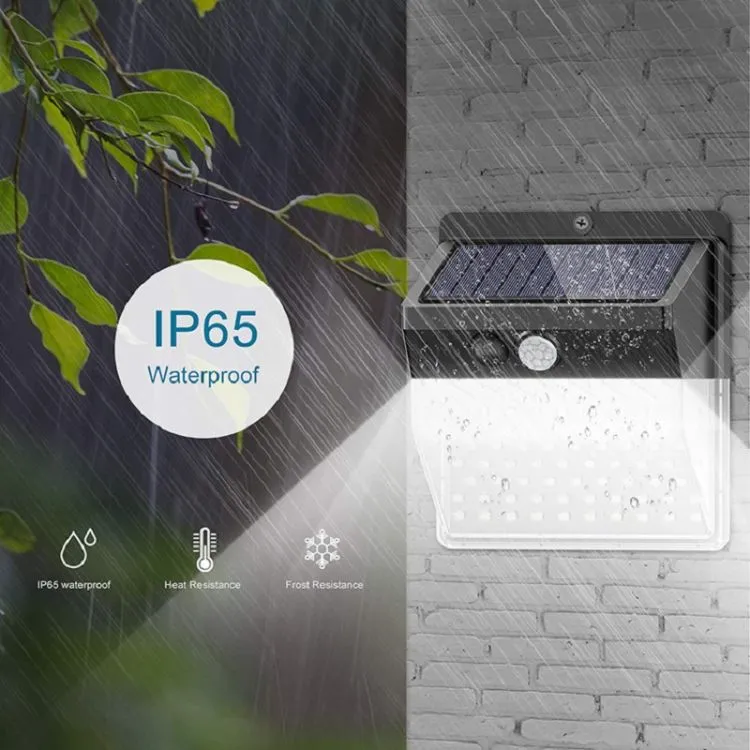 Outdoor Wall Light