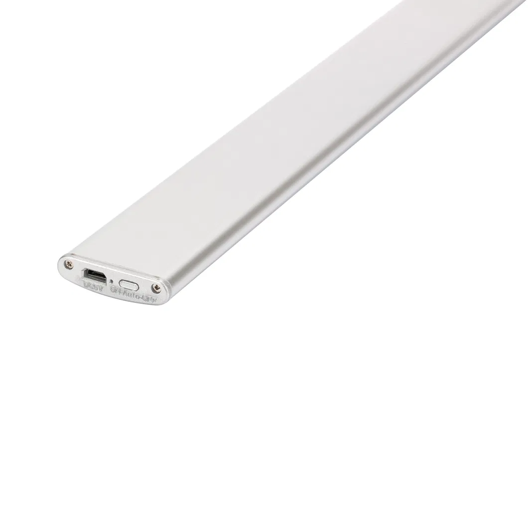 Motion Sensor Light 2