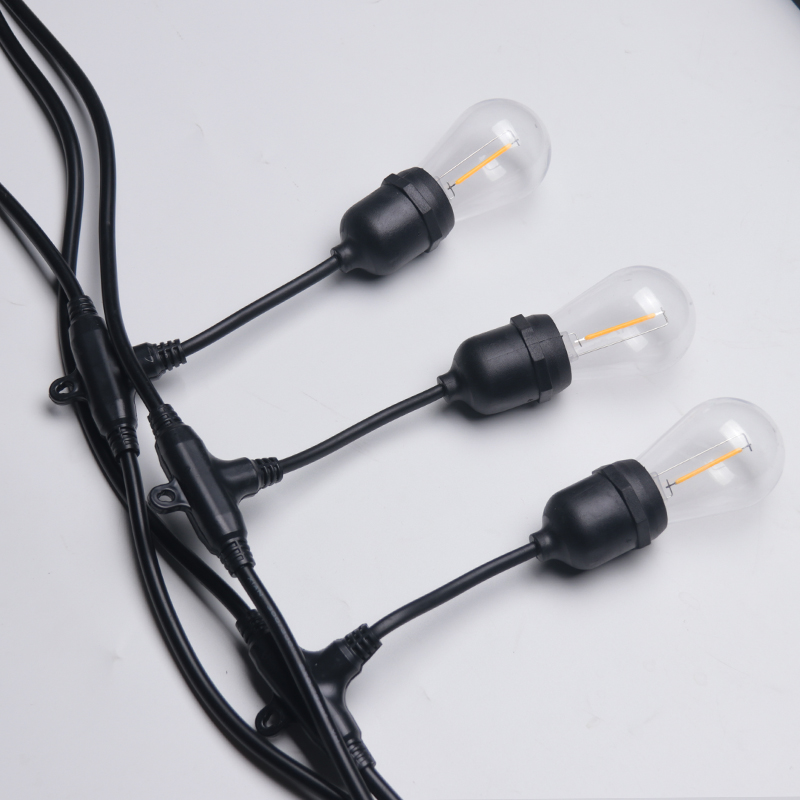 Festoon Lights