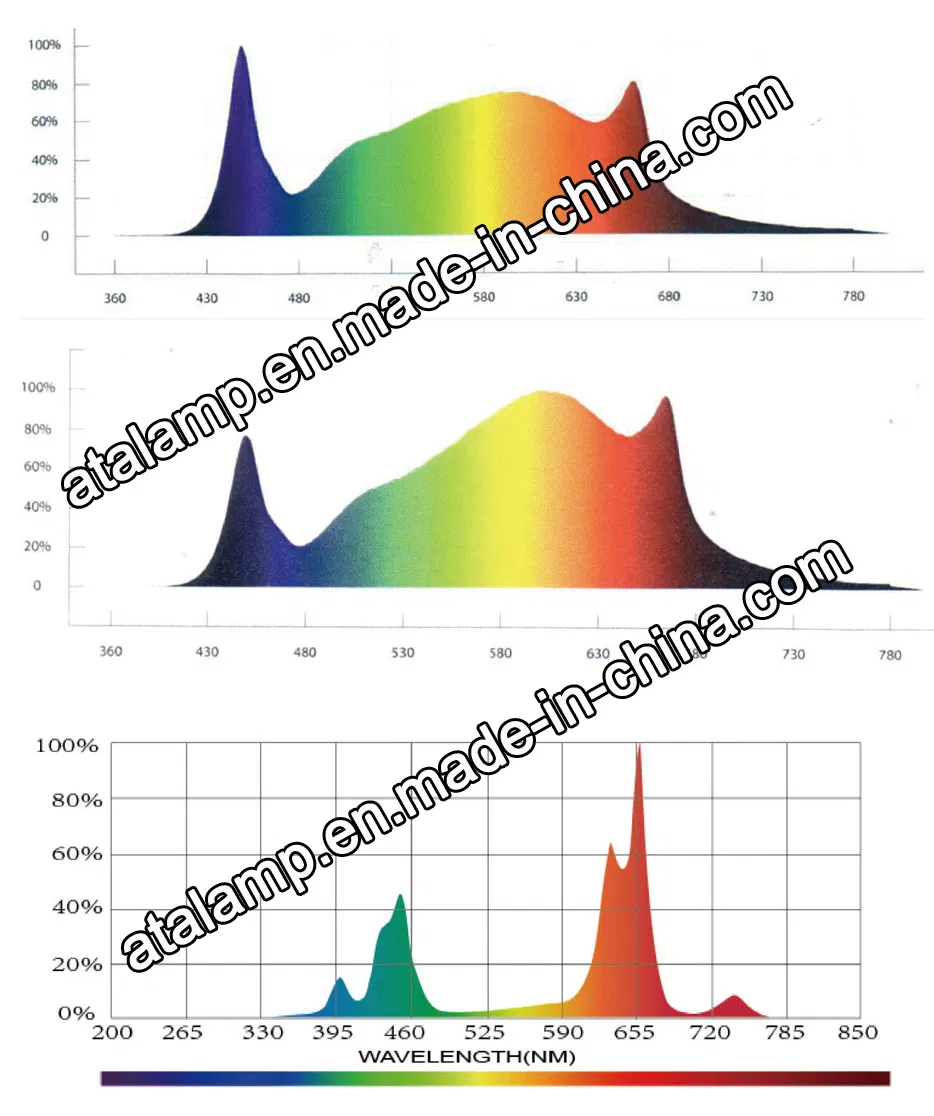 Spectrum Chart