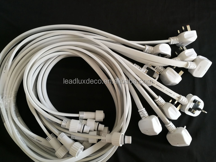 Festoon String Light 5