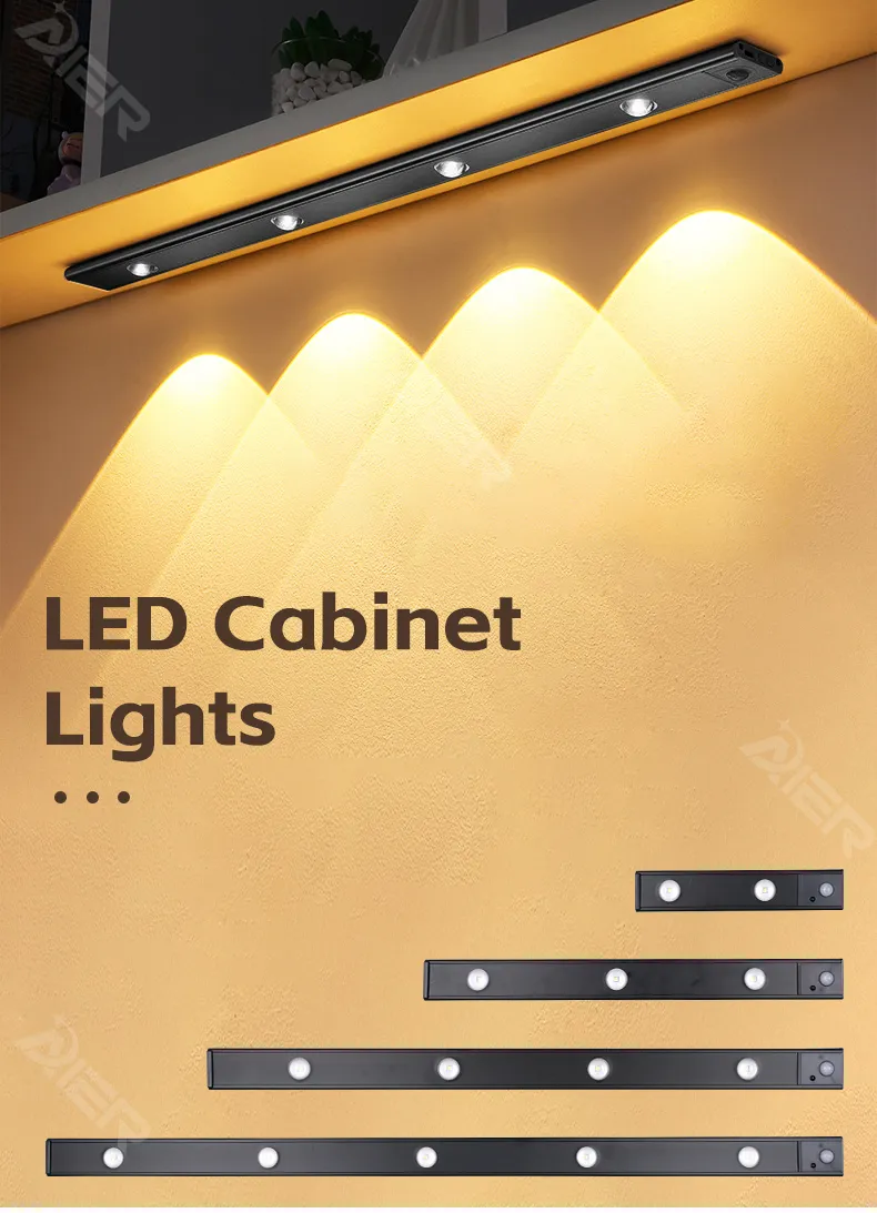 Motion Sensor Light 1
