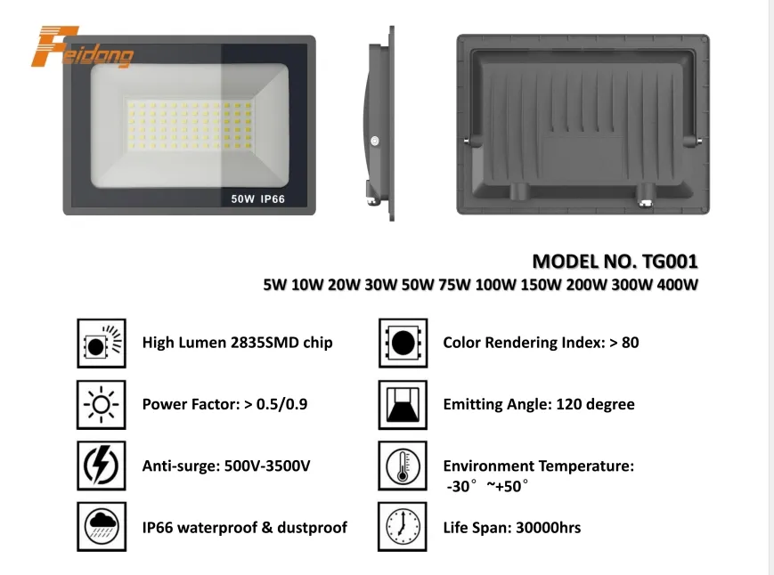 LED Flood Light 1