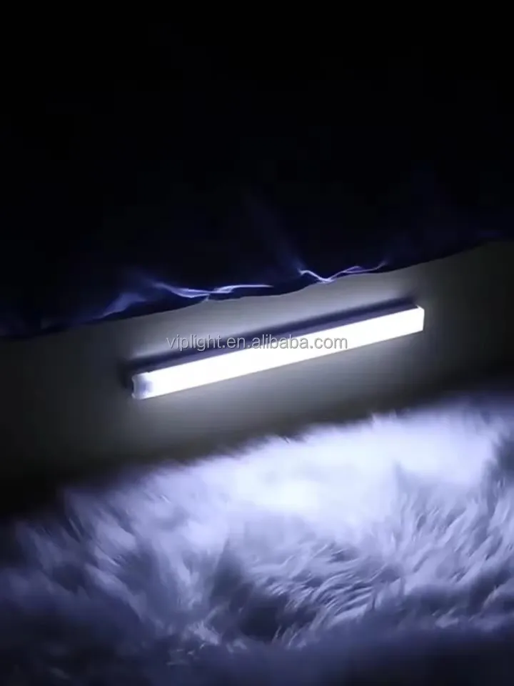Motion Sensor Light