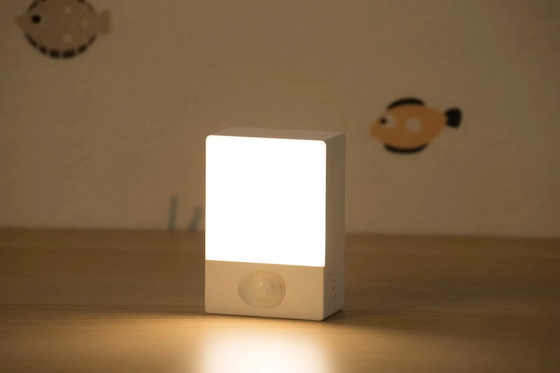 Smart Motion Sensor Light Detail 3
